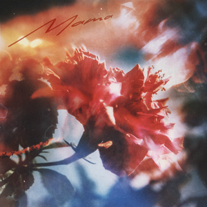 草莓视频在线观看www17c
