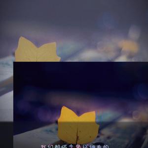 草莓视频在线观看www17c
